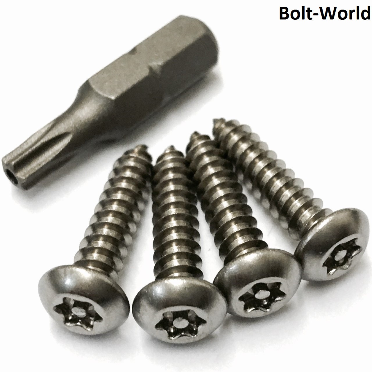 5 PCE STAINLESS STEEL NUMBER PLATE SECURITY SCREWS KIT 4 SCREWS & 1