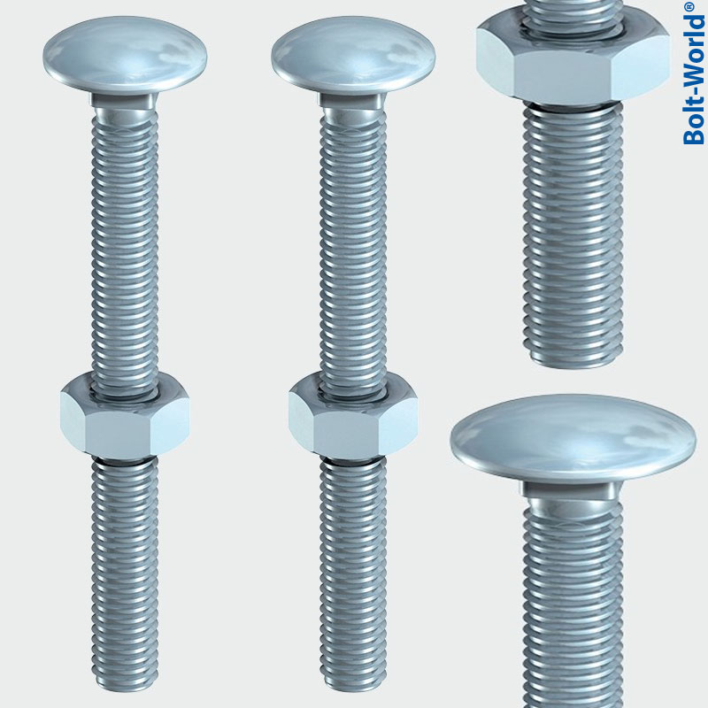 M6x 20mm COACH BOLTS CUP SQUARE CARRIAGE BOLTS SCREWS WITH HEXAGON NUTS
